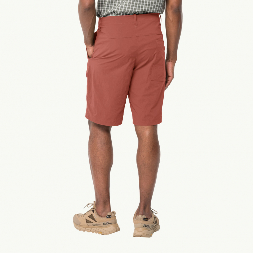 Шорти чоловічі Jack Wolfskin Desert Shorts M 1508341 - Зображення №2