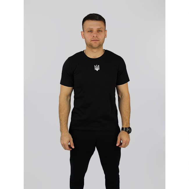 Футболка чоловіча Fly 23215С  - Зображення