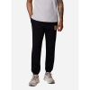 Штани чоловічі Columbia Beaumount™ Jogger 2126401 - Зображення №3