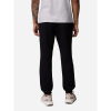 Штани чоловічі Columbia Beaumount™ Jogger 2126401 - Зображення №4