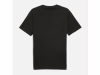 Футболка чоловіча Puma Graphics Mountain Tee    68482801 - Зображення №5