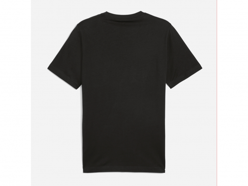 Футболка чоловіча Puma Graphics Mountain Tee    68482801 - Зображення №5