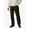 Штани чоловічі Columbia Rapid Rivers Fleece Lined Pant  2135681 - Зображення №2