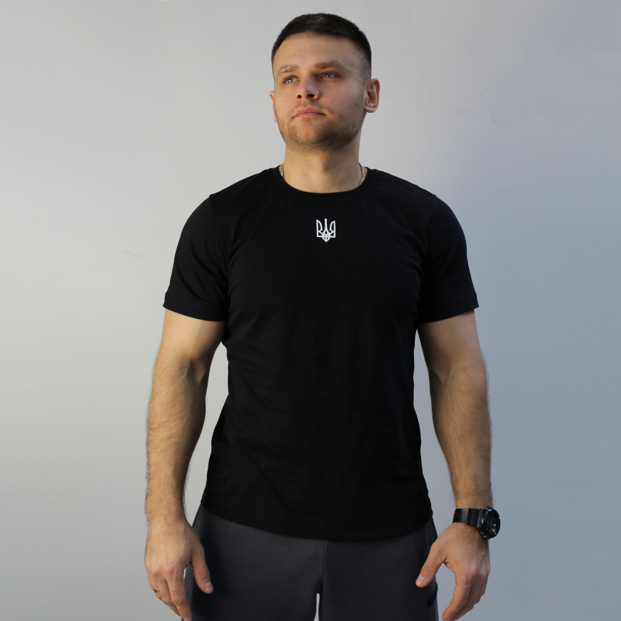 Футболка чоловіча FLY  23215С - Зображення №4