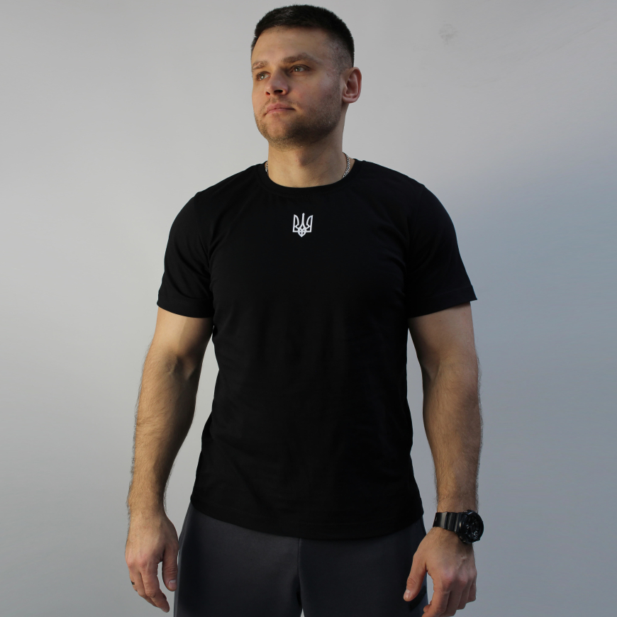 Футболка чоловіча FLY  23215С - Зображення №5