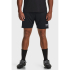 Шорти чоловічі Under Armour 1379507-001