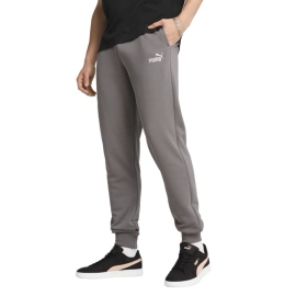 Спортивні штани чоловічі Puma Ess No. 1 Logo Sweatpants Tr Cl 68260979