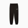 Брюки PUMA підліткові ESS No. 1 Logo Fleece Sweatpants Youth 68491201 - Зображення №4