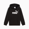 Худі підліткове PUMA ESS No. 1 Logo Fleece Hoodie Youth 68490801 - Зображення №1