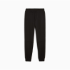 Брюки чоловічі PUMA Essentials Tape Sweatpants Men 68467901 - Зображення №5