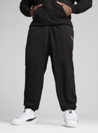 Спортивні штани чоловічі Puma Ess Woven Pants Cl 68262201