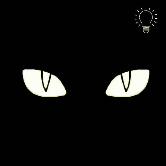 Патч Camotec lum Очі кота 9037 - Зображення №2