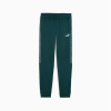 Брюки чоловічі PUMA Essentials Tape Sweatpants Men 68467975 - Зображення №1
