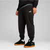 Брюки чоловічі PUMA Essentials No. 1 Logo Sweatpants Men 68260801 - Зображення №1