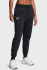 Жіночі спортивні штани Under Armour Icon Fleece Jogger  6001537-001