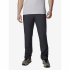 Брюки чоловічі Columbia Washed Out Pant 1657741