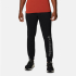 Штани чоловічі Columbia CSC Logo Fleece Jogger II 1911601